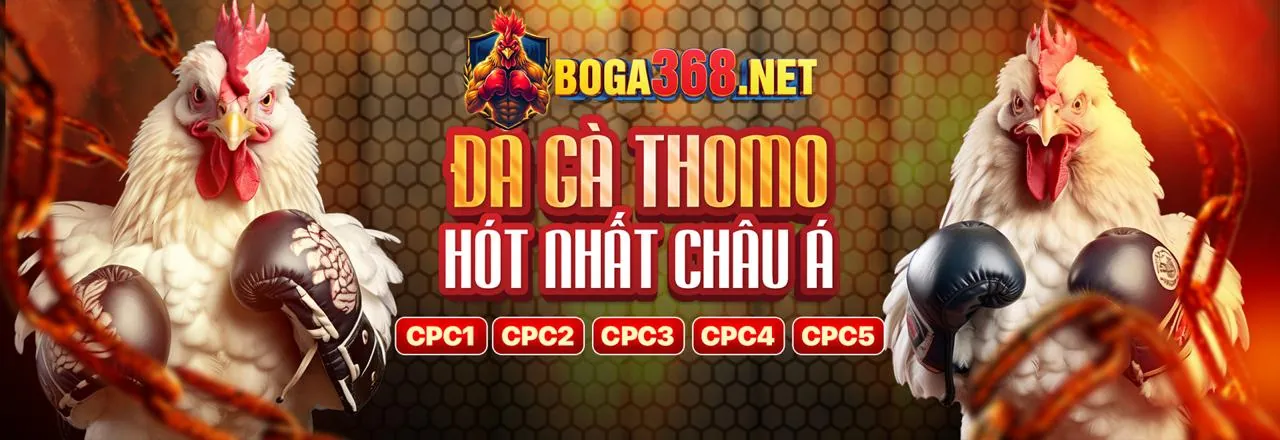 Hoàn trả đặc biệt Kubet Page